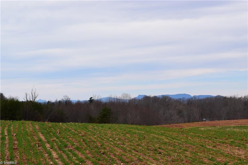 0 Lula Road Madison, NC 27025 - Photo 10 of 11 Gallery Image 10