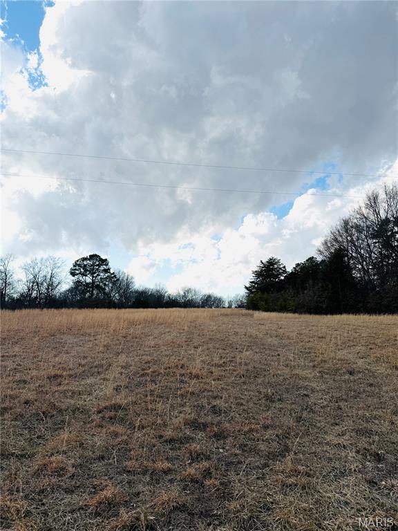 1-c 935 Audrain Road Mexico, MO 65265 - Photo 3 of 3