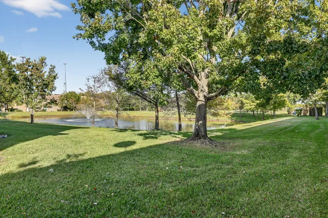 a view of yard with tree and green space