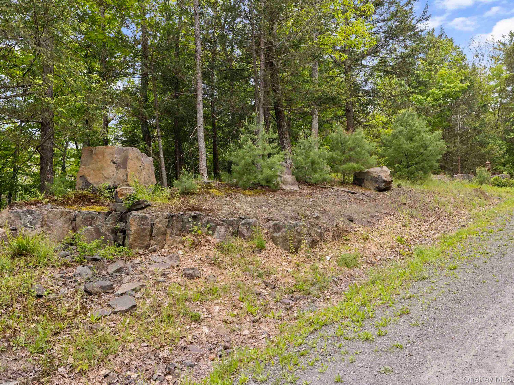40 Mamoud Hills Road Kingston, NY 12401 - Photo 10 of 42 a backyard of a house with lots of green space