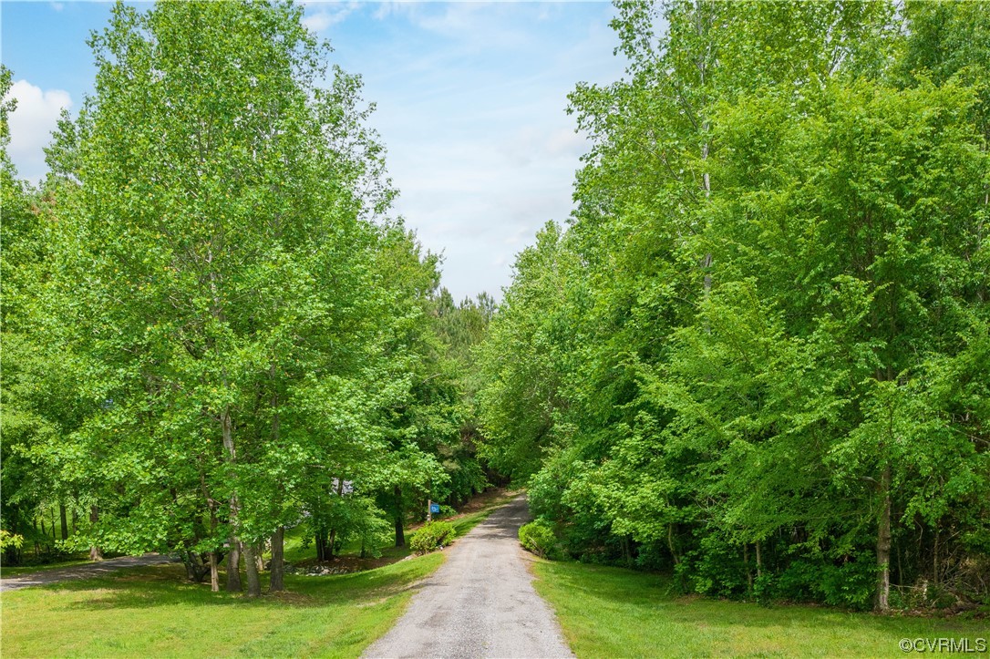 11724 Winterpock Road Chesterfield, VA 23838 - Photo 2 of 50 a view of a yard with plants and large trees