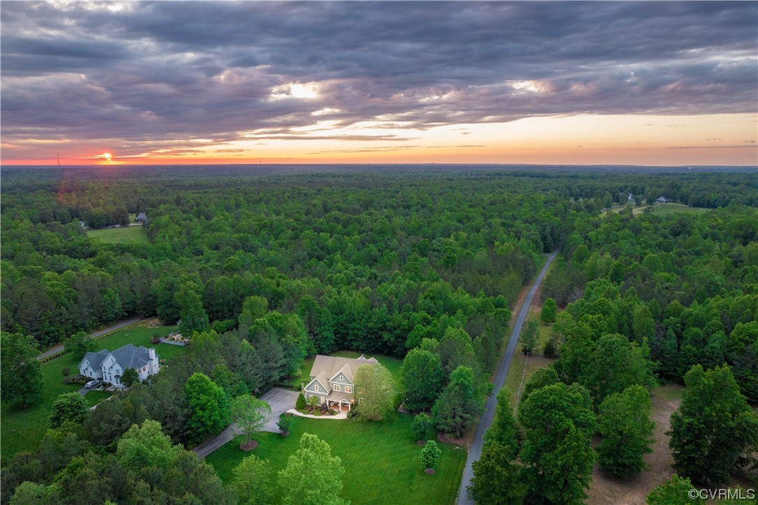 11724 Winterpock Road Chesterfield, VA 23838 - Photo 46 of 50 a view of a city with lush green forest