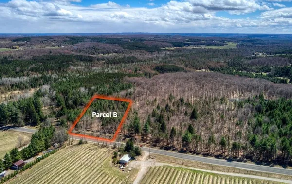 $129,000 | Parcel B East Bodus Road, Cedar, MI 49621