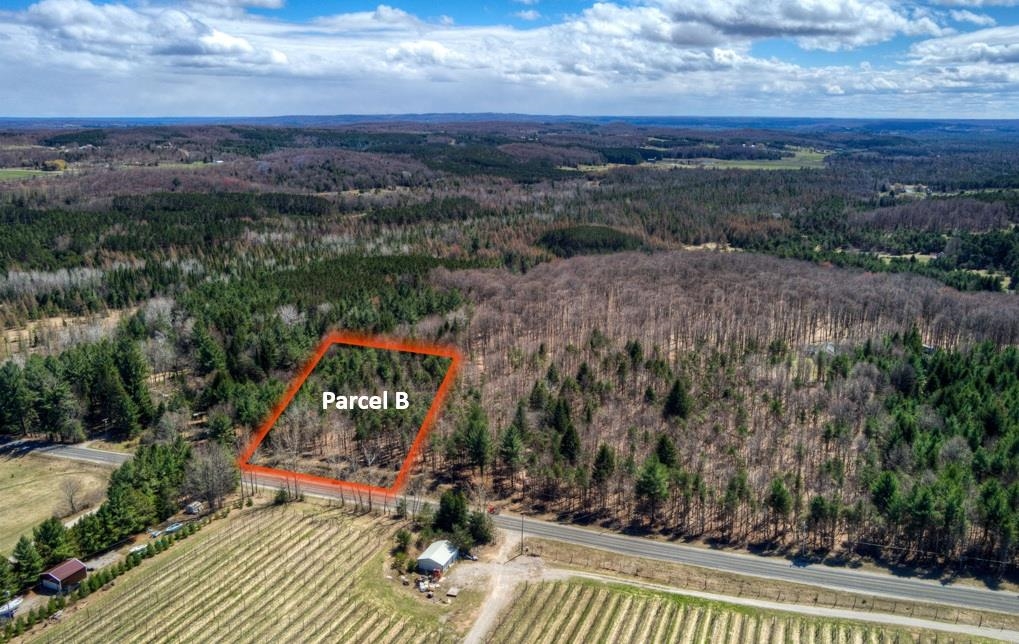 Parcel B East Bodus Road Cedar, MI 49621 - Photo 1 of 10
