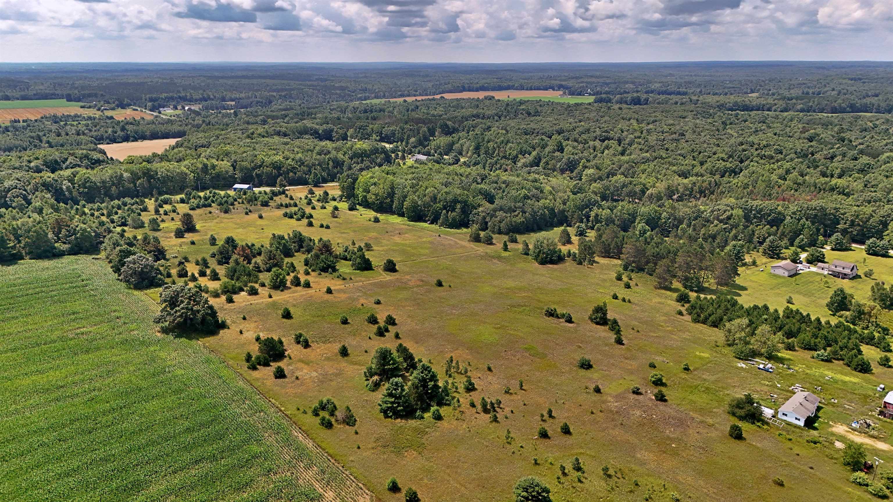 V/l South 37 Road Cadillac, MI 49601 - Photo 8 of 9