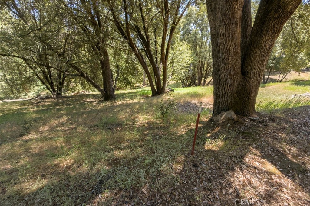 2397 Parmabelle Road Mariposa, CA 95338 - Photo 11 of 34 a view of outdoor space and yard