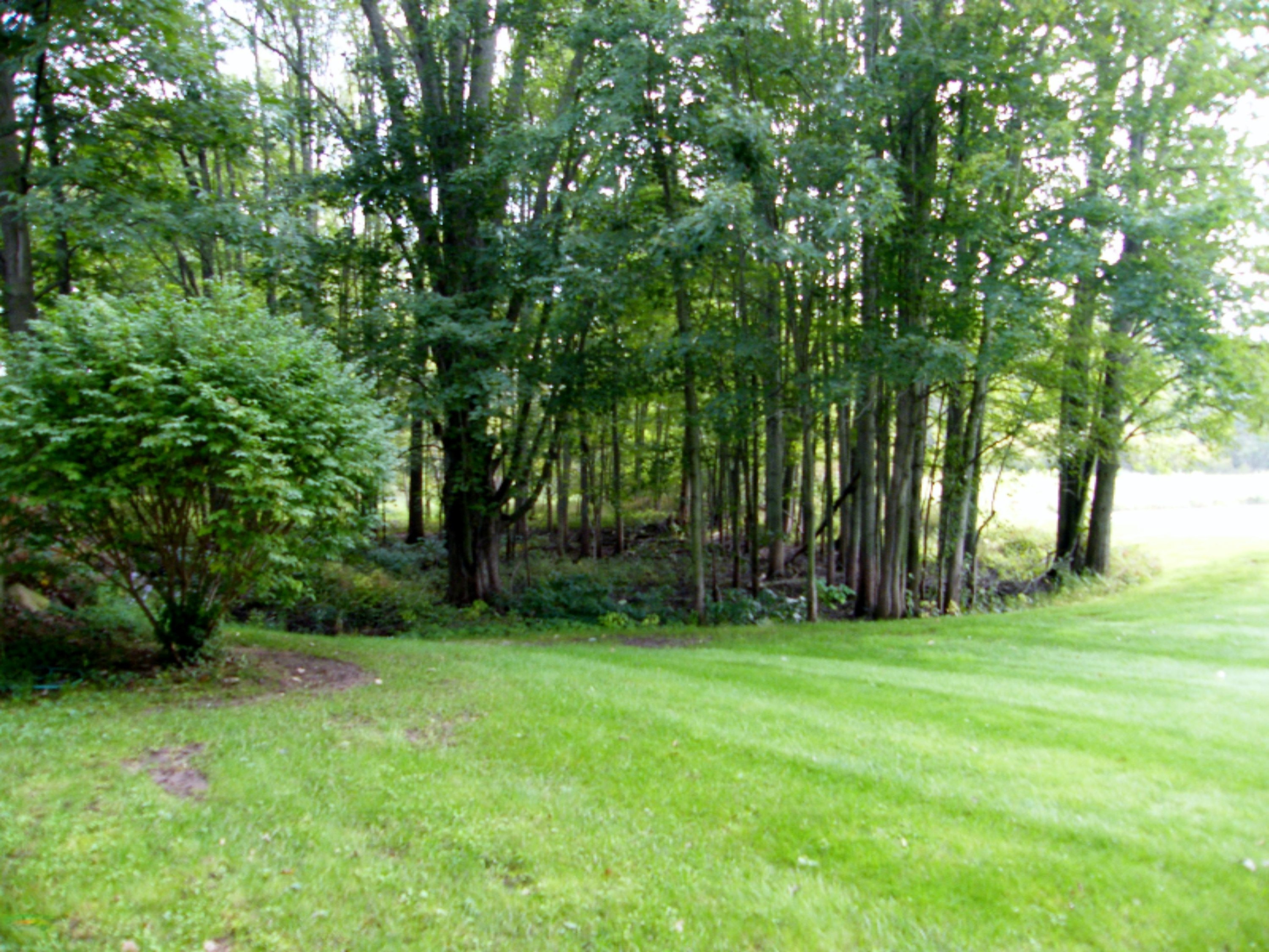 9449 West Garbow Road Middleville, MI 49333 - Photo 34 of 70 DSCF8214