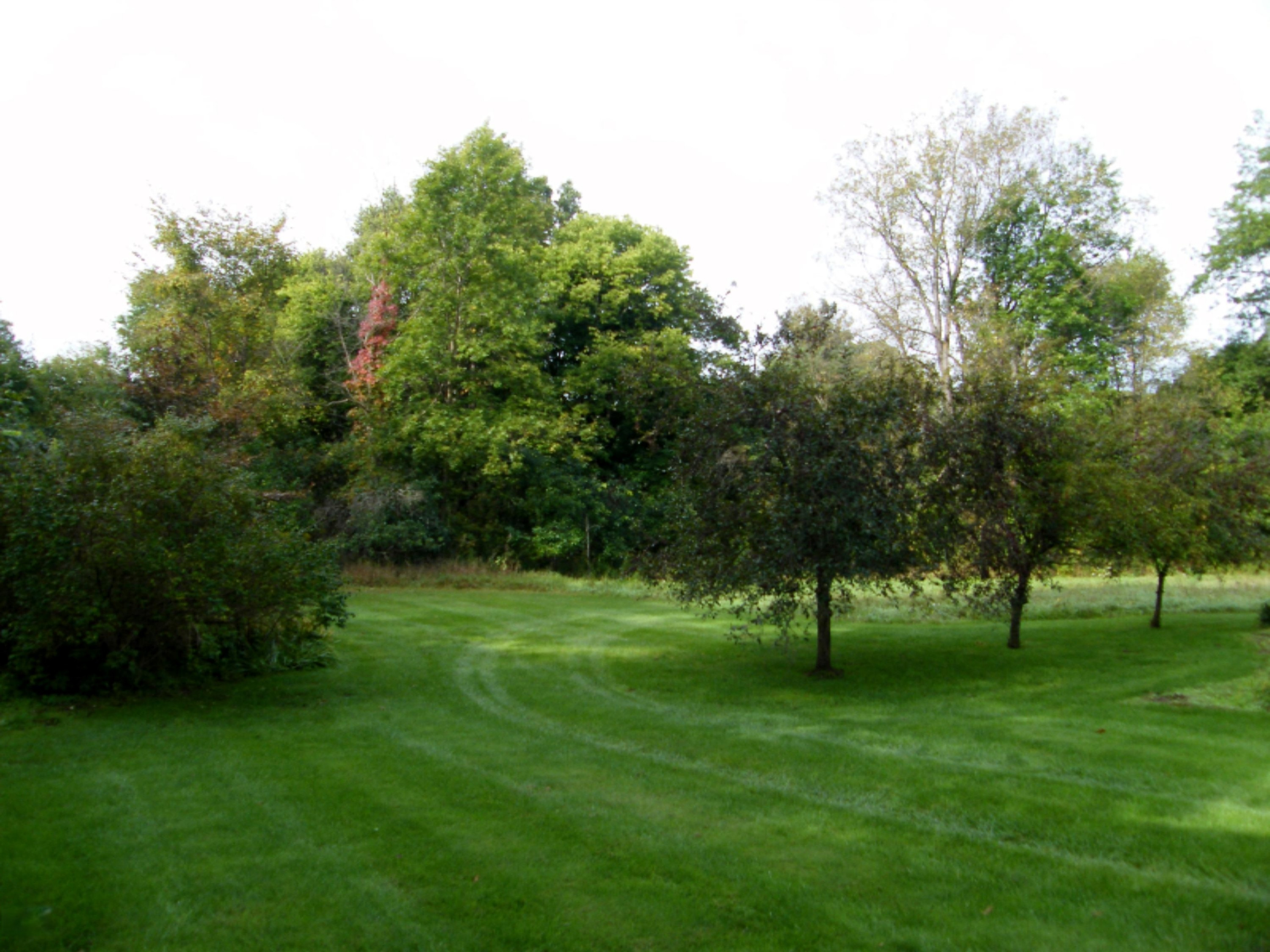 9449 West Garbow Road Middleville, MI 49333 - Photo 44 of 70 DSCF8187