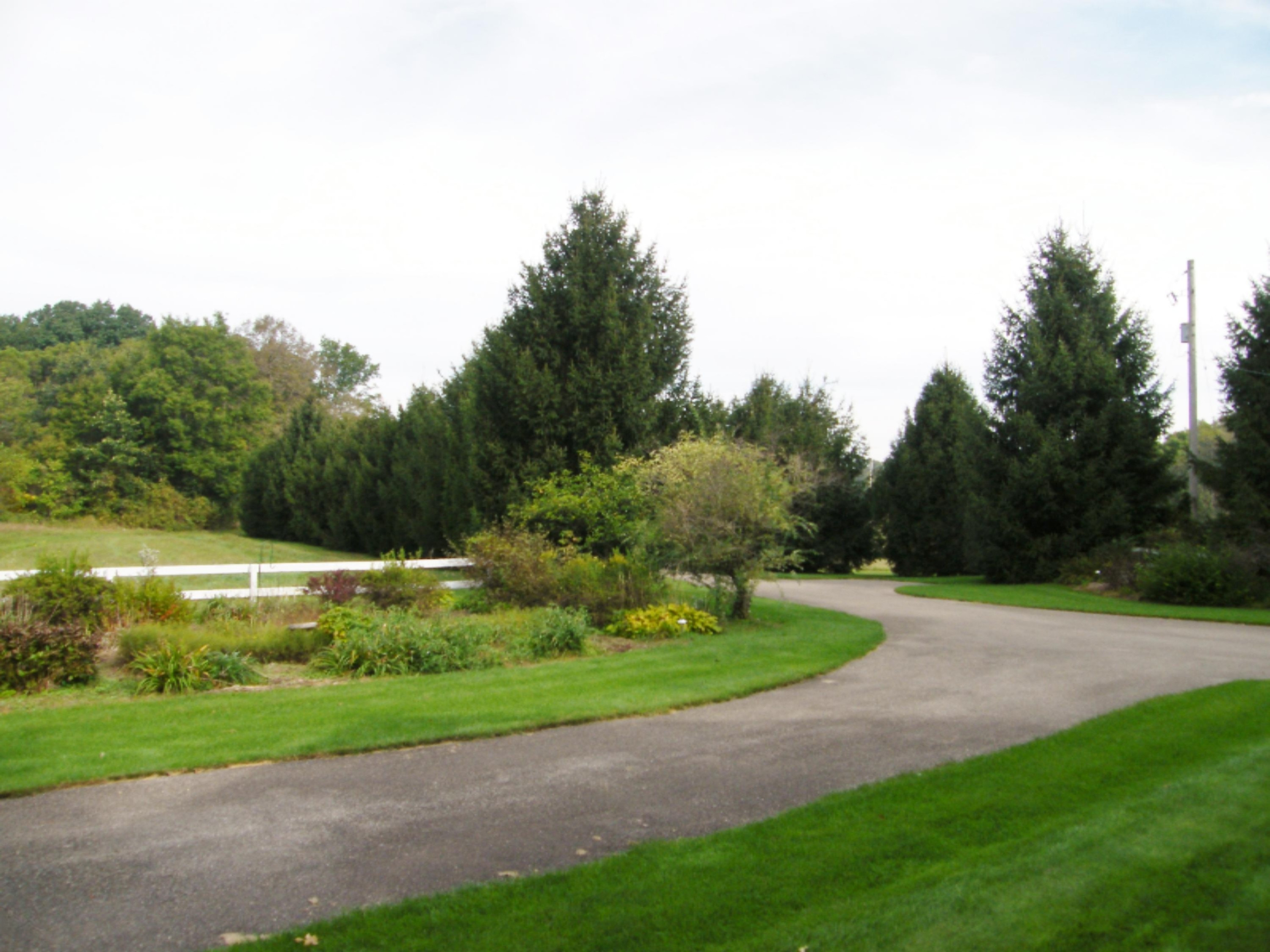 9449 West Garbow Road Middleville, MI 49333 - Photo 46 of 70 DSCF8235