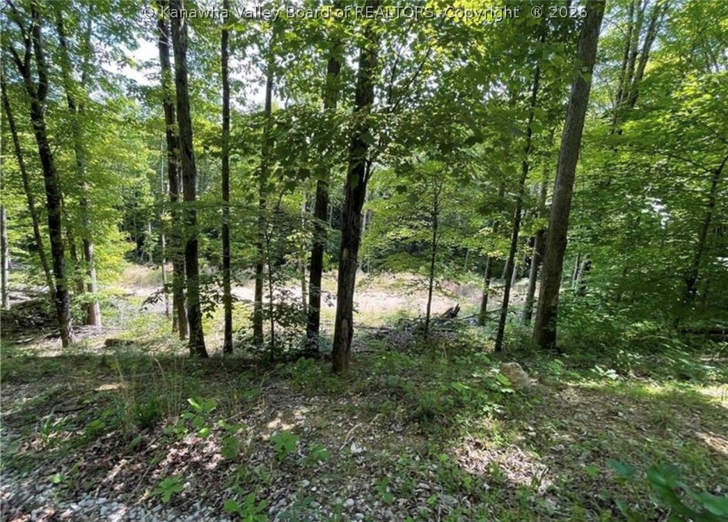 2981 Wallback Road Wallback, WV 25285 - Photo 23 of 24 Gallery Image 23