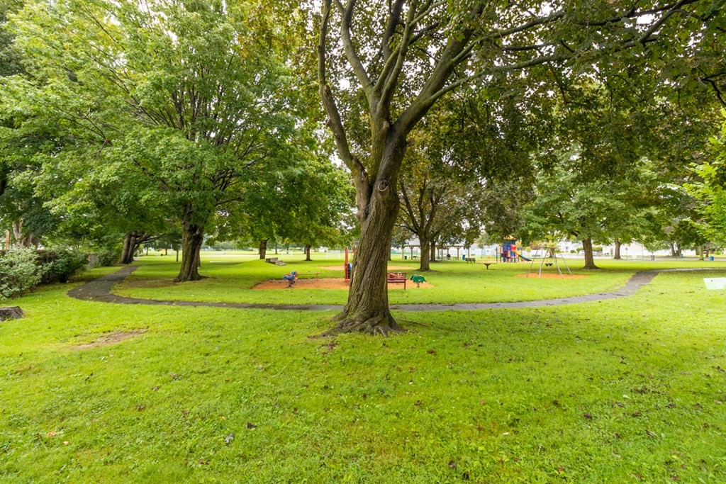 269 Chicopee Street, Unit 16 Chicopee, MA 01013 - Photo 26 of 26 a huge green field with lots of trees