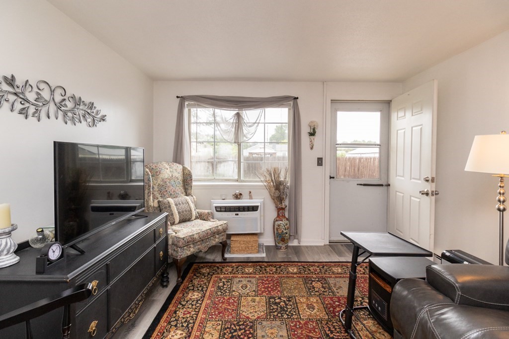 269 Chicopee Street, Unit 16 Chicopee, MA 01013 - Photo 6 of 26 a living room with furniture and a flat screen tv