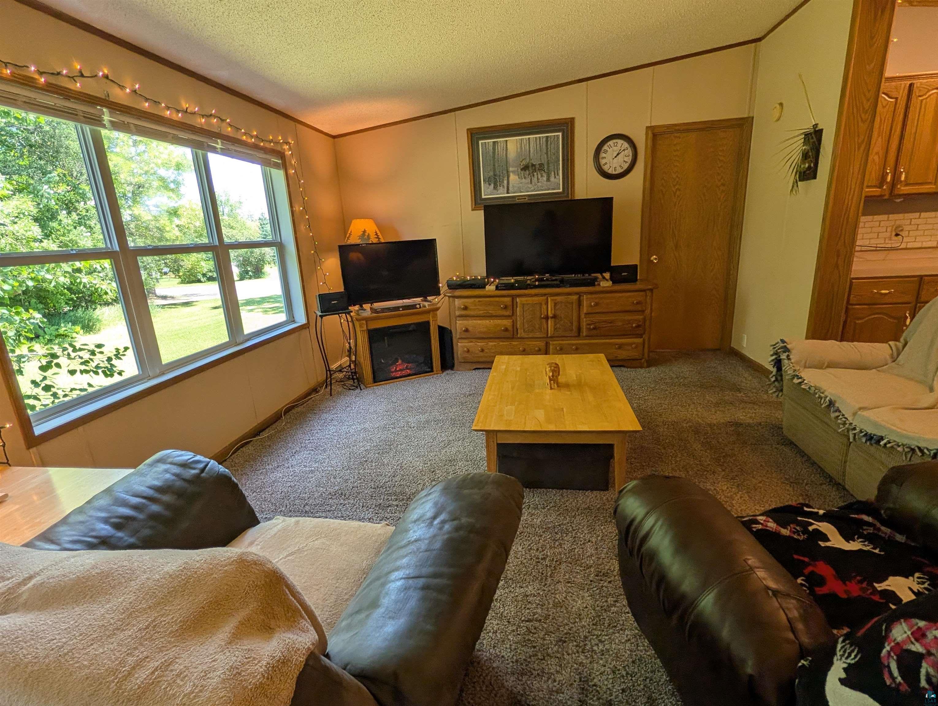 3945 Maple Street Kettle River, MN 55757 - Photo 10 of 41 Living area featuring large multi-pane windows, wood-finish baseboards, textured carpeting, and a wood-finish interior door