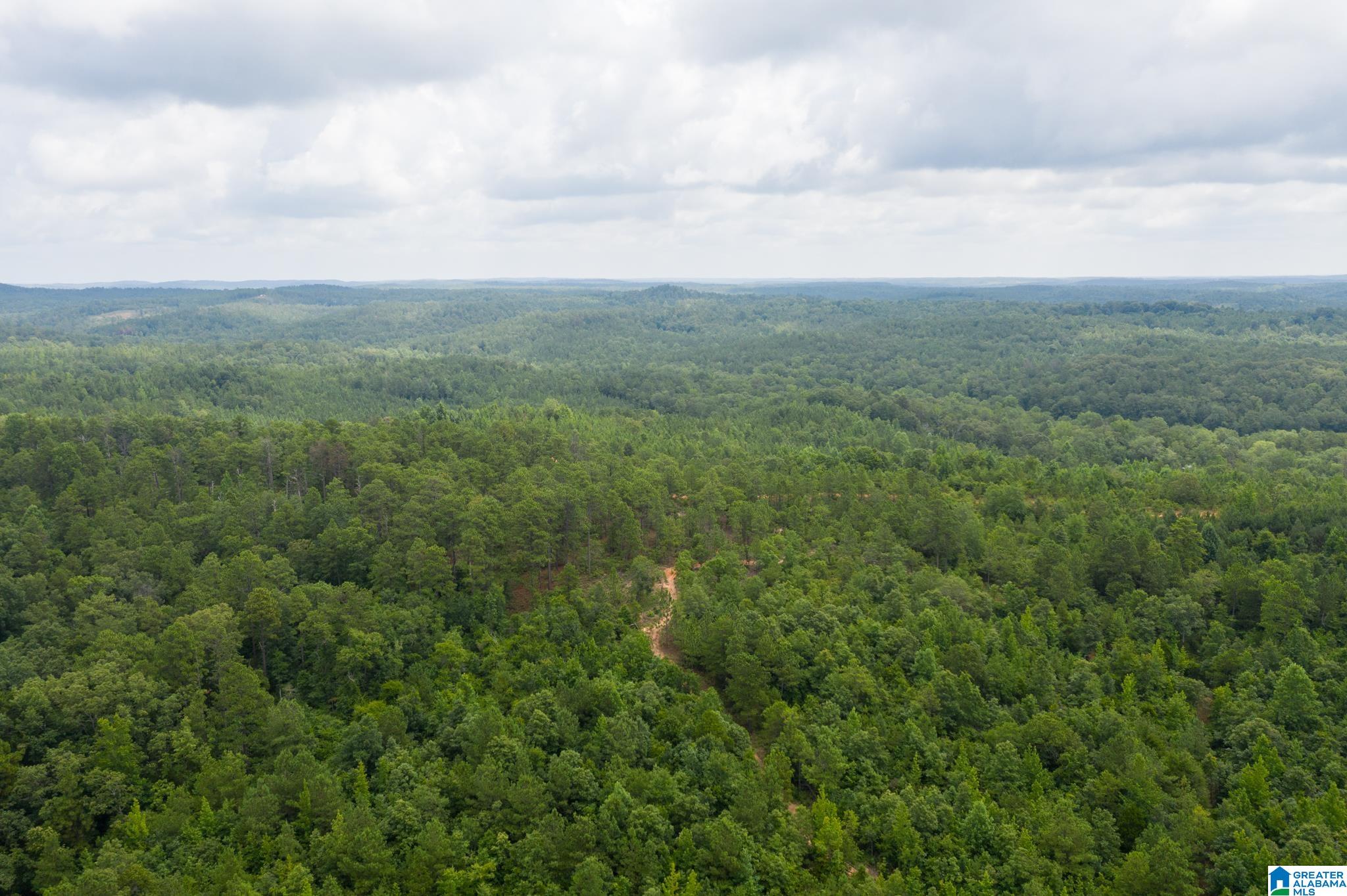 3025 Potato Patch Creek Road Marion, AL 36756 - Photo 6 of 24