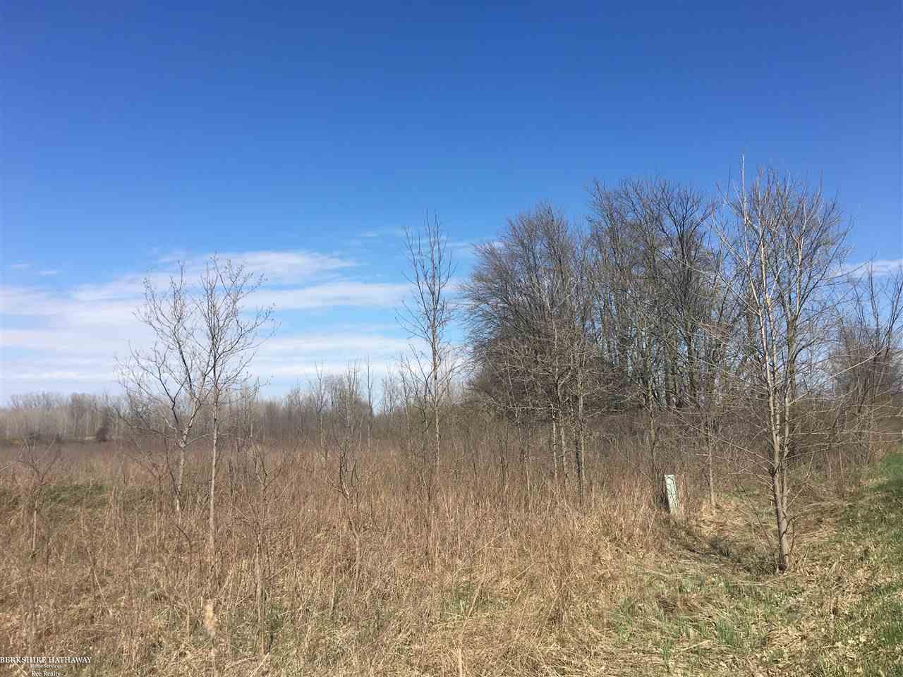 0 Masters Allenton, MI 48002 - Photo 3 of 9