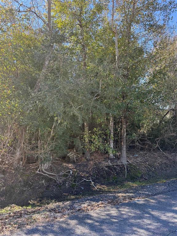 Park Rd Lake Lake Charles, LA 70611 - Photo 2 of 2