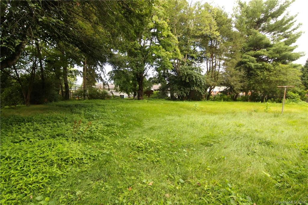 127 Temple Church Road Brevard, NC 28712 - Photo 4 of 20 Gallery Image 4