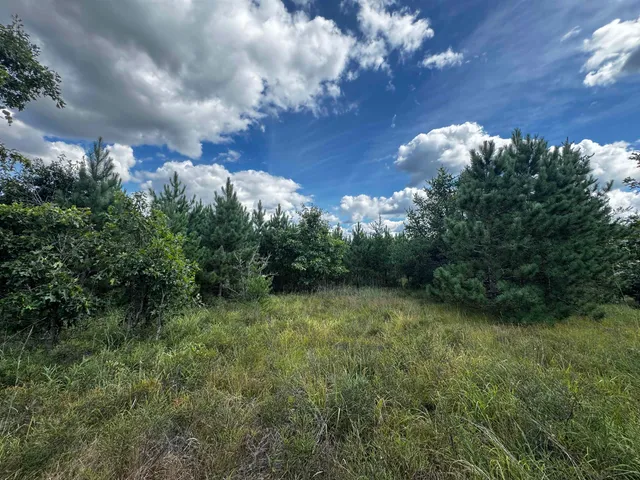$200,000 | 40-ac Buttercup Avenue, Arkdale, WI 54613