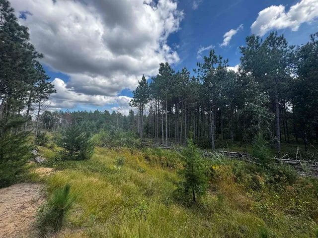 $200,000 | 40-ac Buttercup Avenue, Arkdale, WI 54613