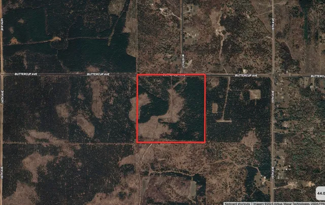 $200,000 | 40-ac Buttercup Avenue, Arkdale, WI 54613