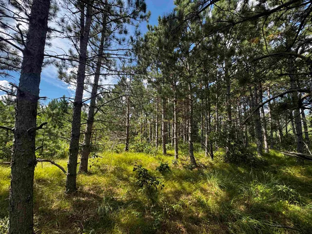 $200,000 | 40-ac Buttercup Avenue, Arkdale, WI 54613