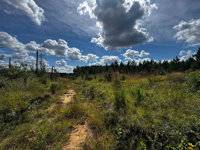 $200,000 | 40-ac Buttercup Avenue, Arkdale, WI 54613