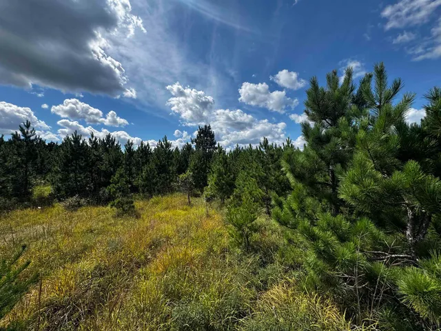 $200,000 | 40-ac Buttercup Avenue, Arkdale, WI 54613
