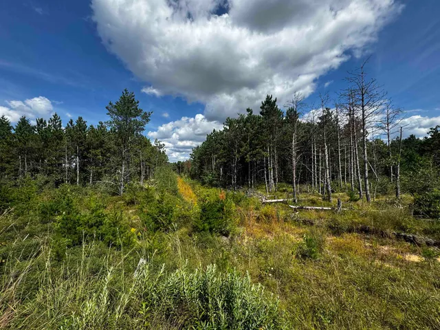 $200,000 | 40-ac Buttercup Avenue, Arkdale, WI 54613
