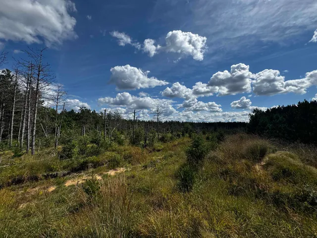 $200,000 | 40-ac Buttercup Avenue, Arkdale, WI 54613