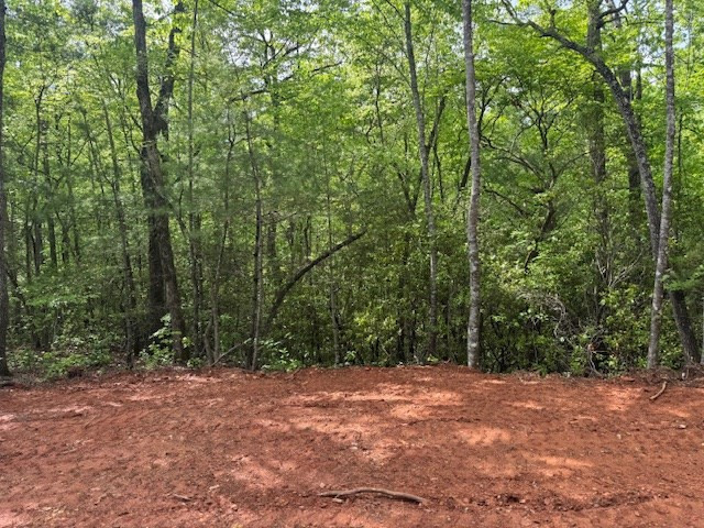 0 Tyler Lane Marble, NC 28905 - Photo 13 of 31