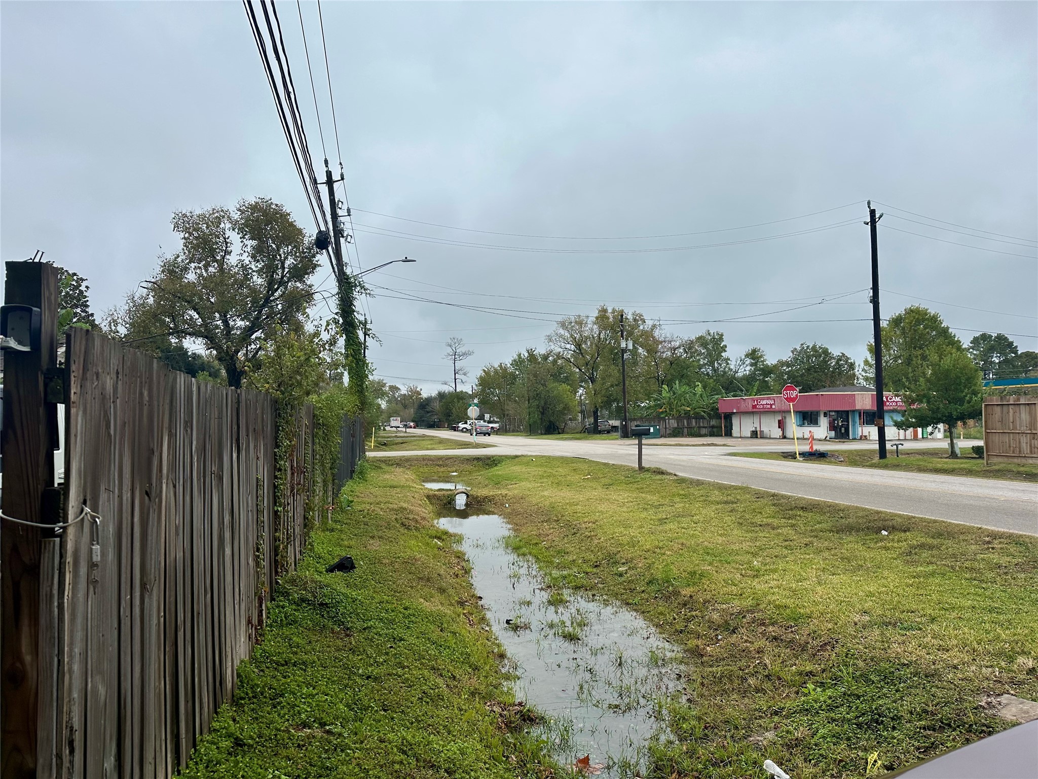 4123 Littlecrest Road Houston, TX 77093 - Photo 15 of 16 a view of a swimming pool with a yard and large trees