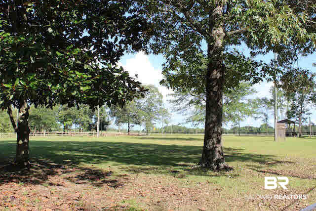 16353 Durban Fork Road Bay Minette, AL 36507 - Photo 21 of 29 Front Pasture