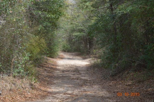 6110 Southridge Road Milton, FL 32570 - Photo 2 of 17 Gallery Image 2