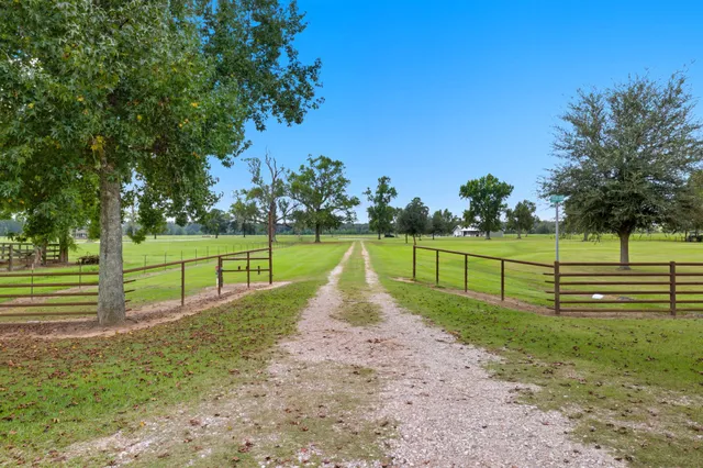 a view of a park with large trees