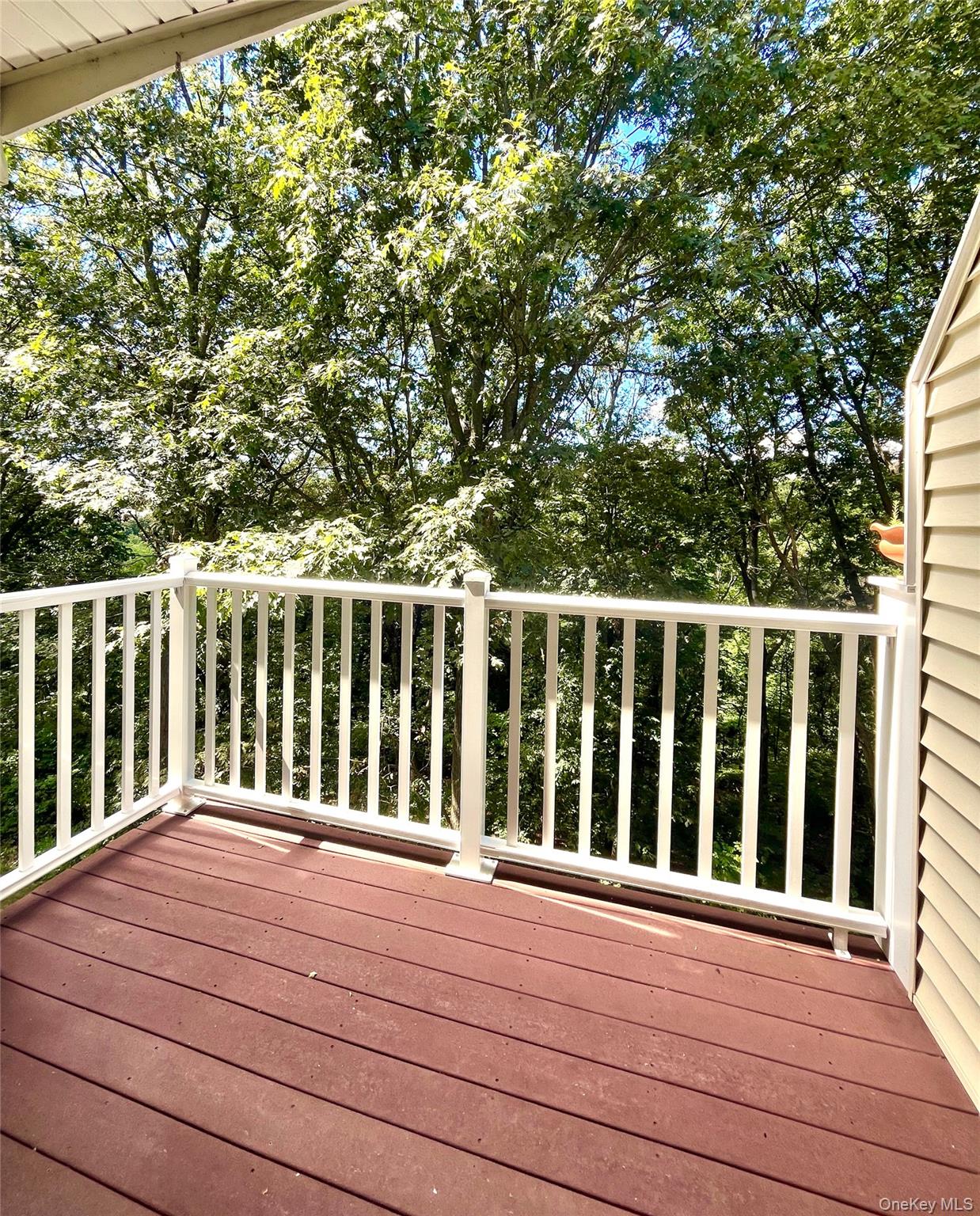 223 Viewpoint Terrace Peekskill, NY 10566 - Photo 21 of 30 View of deck