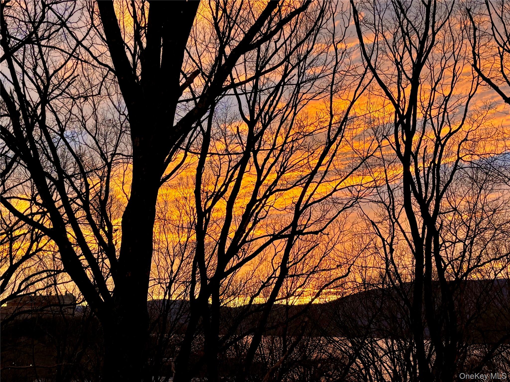 223 Viewpoint Terrace Peekskill, NY 10566 - Photo 23 of 30 View of nature