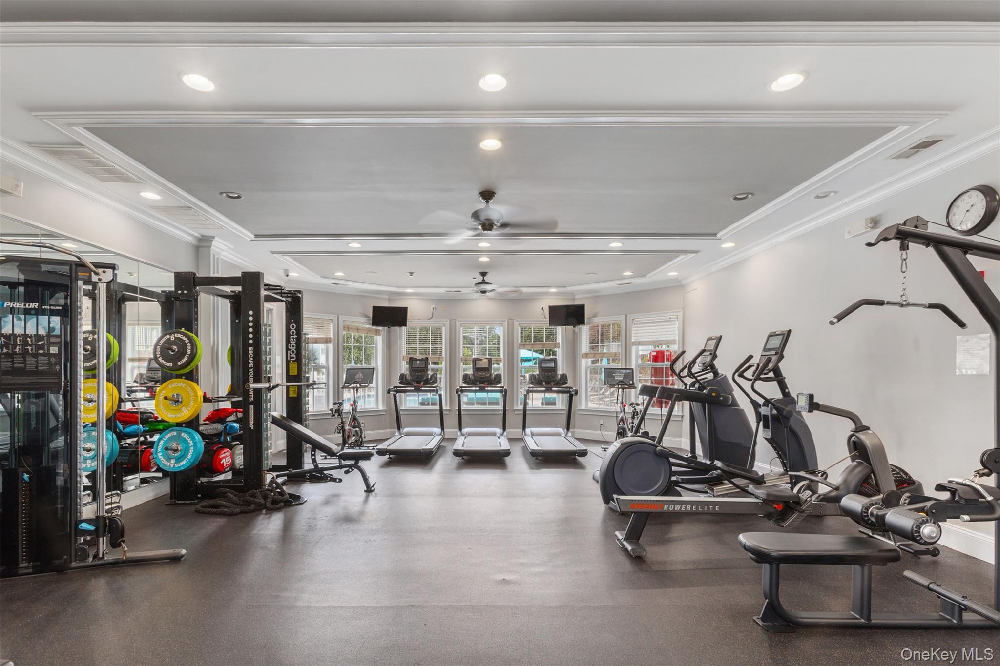 223 Viewpoint Terrace Peekskill, NY 10566 - Photo 29 of 30 Exercise room featuring crown molding, a ceiling fan, recessed lighting, and a tray ceiling