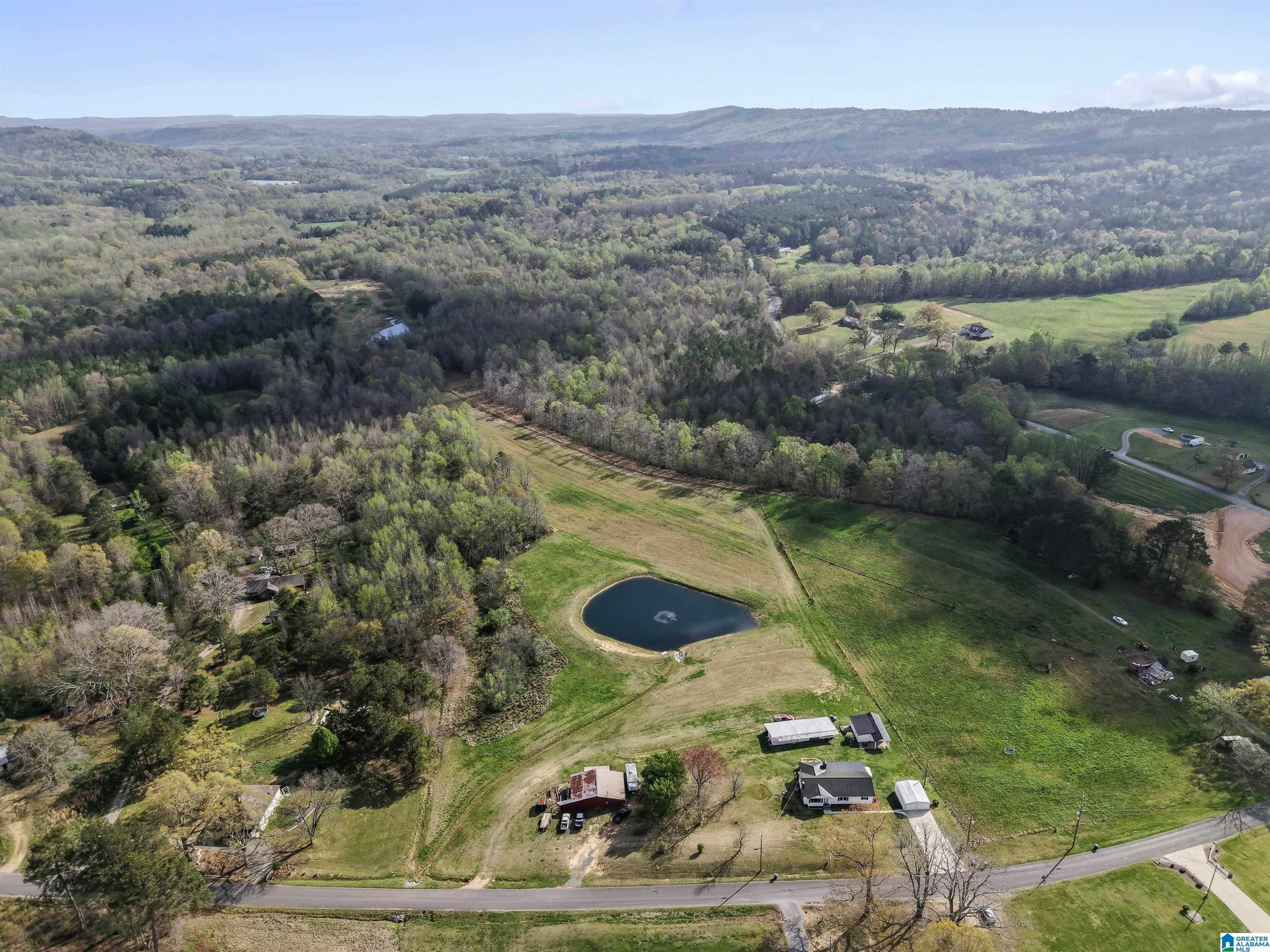 485 Moody Chapel Road Altoona, AL 35952 - Photo 7 of 54