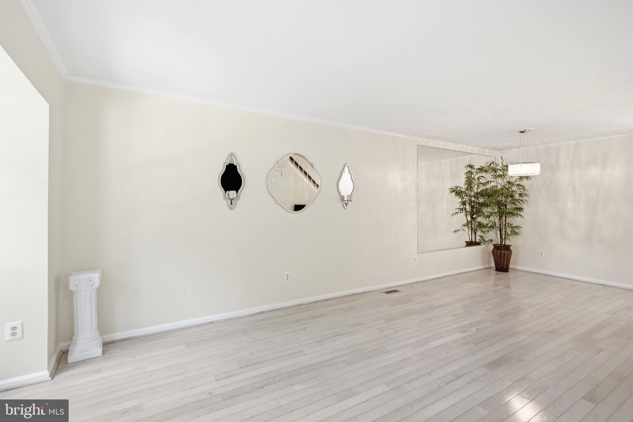 8434 Springfield Oaks Drive Springfield, VA 22153 - Photo 12 of 46