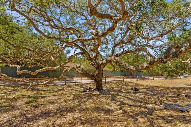 a view of lake with mountain