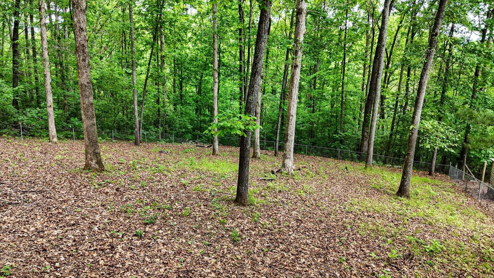 114 Carpenter Road Dunlap, TN 37327 - Photo 28 of 34 13-114 Carpenter Rd-13