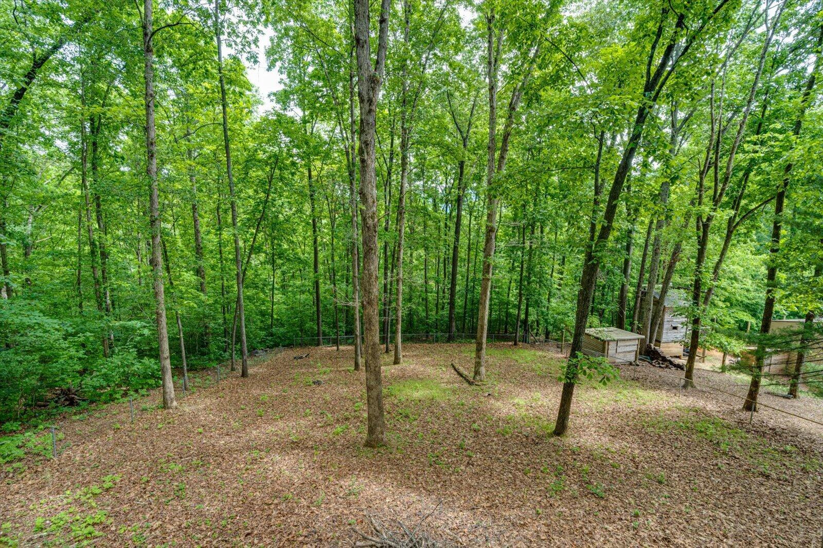 114 Carpenter Road Dunlap, TN 37327 - Photo 32 of 34 08-114 Carpenter Rd-8