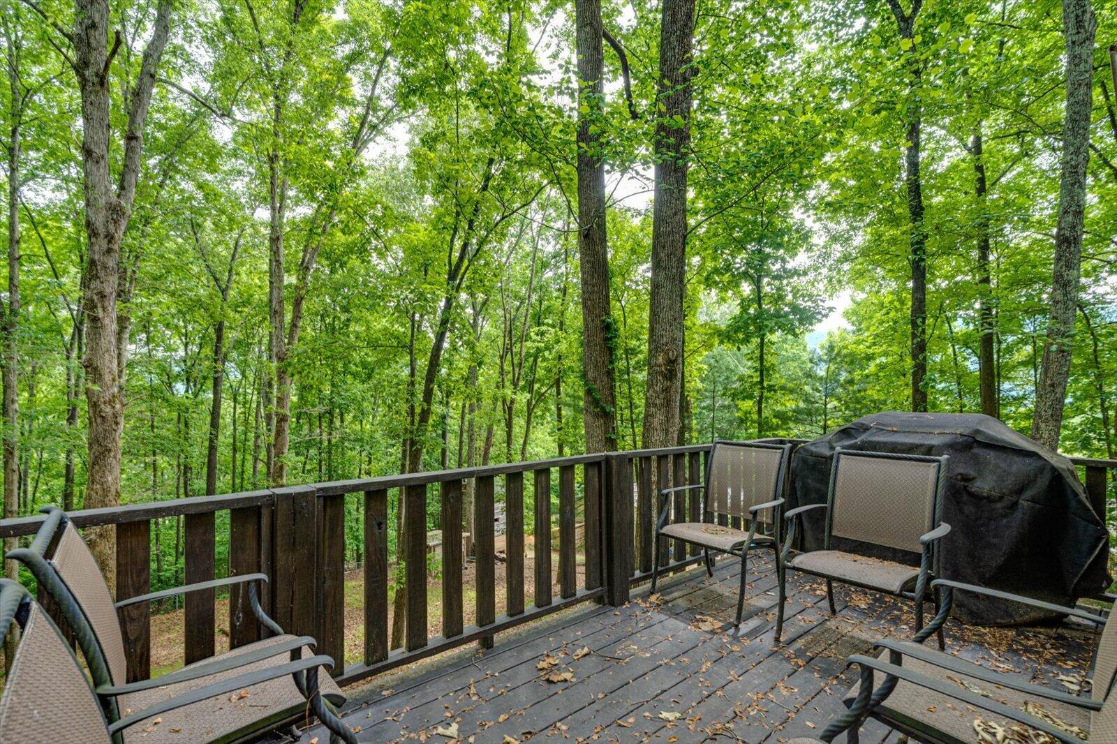 114 Carpenter Road Dunlap, TN 37327 - Photo 9 of 34 06-114 Carpenter Rd-6