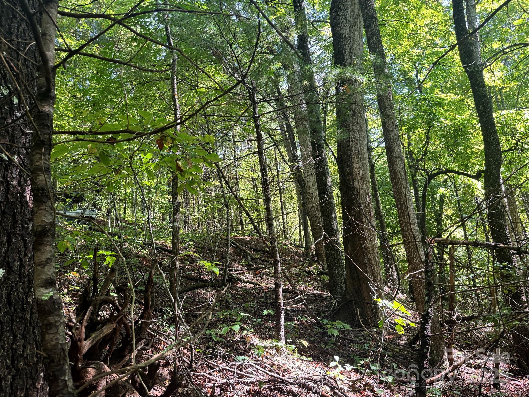 2252 Cutshall Town Road Marshall, NC 28753 - Photo 14 of 40 a view of a yard
