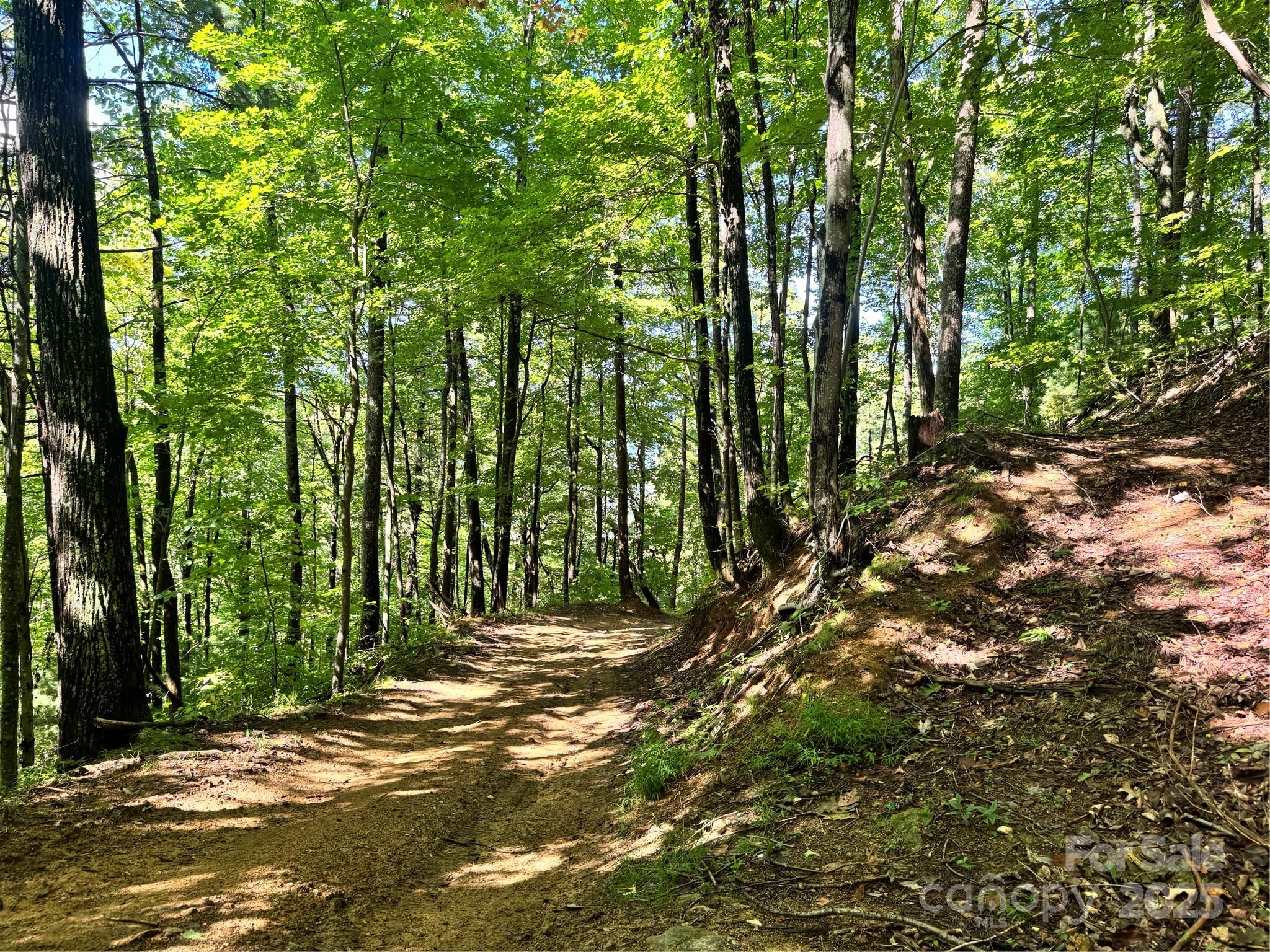 2252 Cutshall Town Road Marshall, NC 28753 - Photo 22 of 40 a view of outdoor space and yard