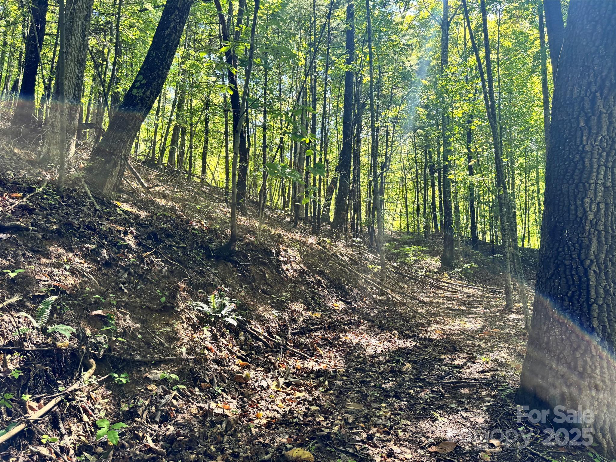 2252 Cutshall Town Road Marshall, NC 28753 - Photo 26 of 40 a view of backyard