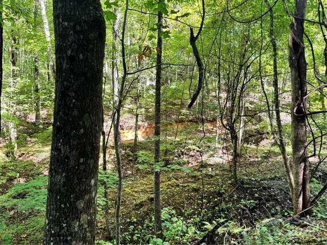 a view of outdoor space and green space