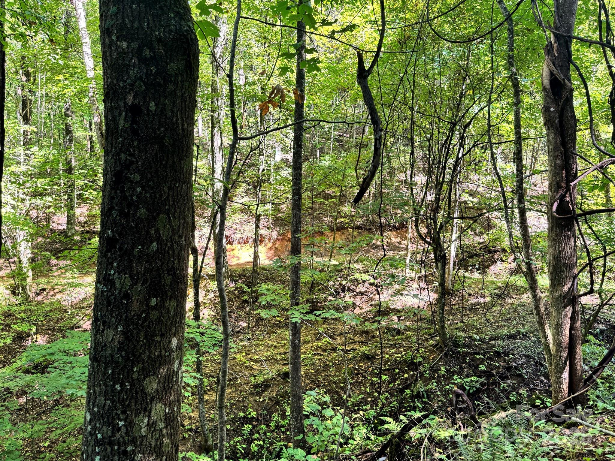 2252 Cutshall Town Road Marshall, NC 28753 - Photo 29 of 40