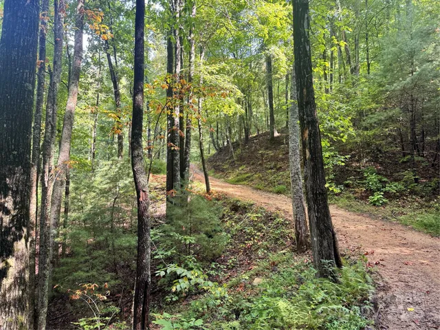 a view of outdoor space and trees