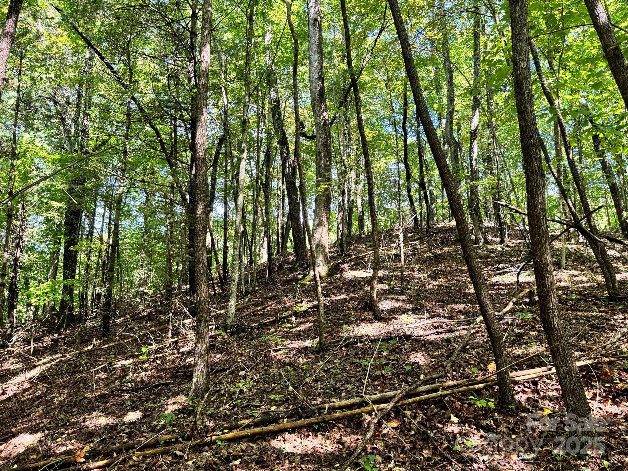 2252 Cutshall Town Road Marshall, NC 28753 - Photo 32 of 40